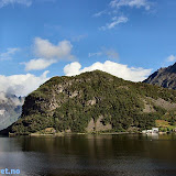 Bjørke